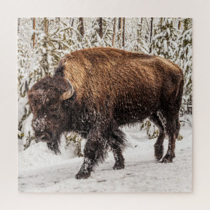 Bison (Bison bison) - Buffalo - sneeuw - 676 stuks Legpuzzel
