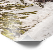 Bison (Bison bison) - Buffalo - sneeuw - geelsteen Foto Afdruk (Hoek)