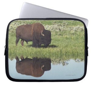 Bison (Bison Bison) op Grassy Meadow Laptop Sleeve