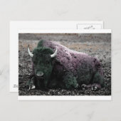 Bison Briefkaart (Voorkant / Achterkant)