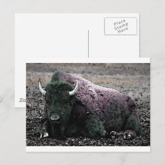 Bison Briefkaart (Voorkant / Achterkant)