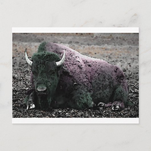 Bison Briefkaart (Voorkant)