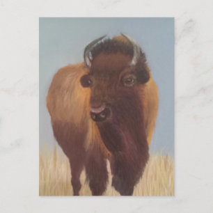 Bison Briefkaart