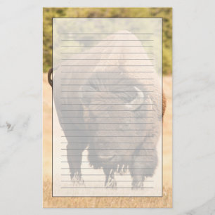 Bison Briefpapier
