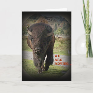 Bison Buffalo Animal Nous Déménageons Carte