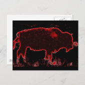 Bison/Buffalo Briefkaart (Voorkant / Achterkant)