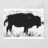 Bison - Buffalo Briefkaart (Voorkant)