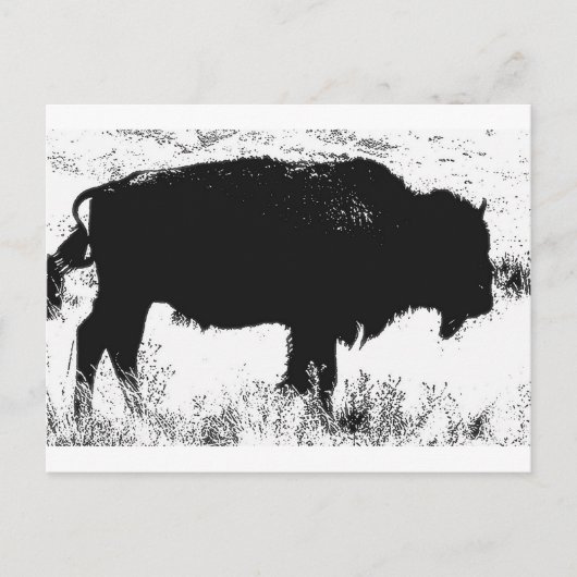 Bison - Buffalo Briefkaart (Voorkant)