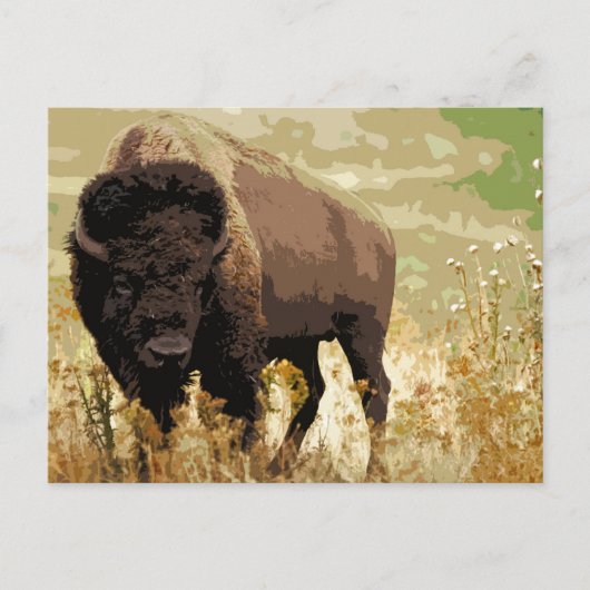 Bison/Buffalo Briefkaart (Voorkant)