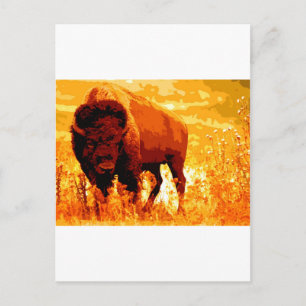 Bison/Buffalo Briefkaart
