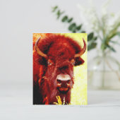 Bison/Buffalo Face Briefkaart (Staand voorkant)