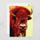 Bison/Buffalo Face Briefkaart (Voorkant / Achterkant)