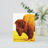 Bison/Buffalo Head Artwork Briefkaart (Staand voorkant)