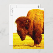 Bison/Buffalo Head Artwork Briefkaart (Voorkant / Achterkant)