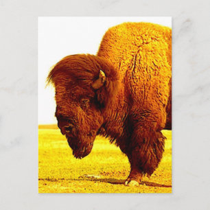 Bison/Buffalo Head Artwork Briefkaart