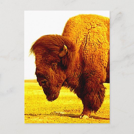 Bison/Buffalo Head Artwork Briefkaart (Voorkant)