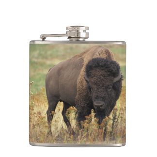 Bison Buffalo Heupfles