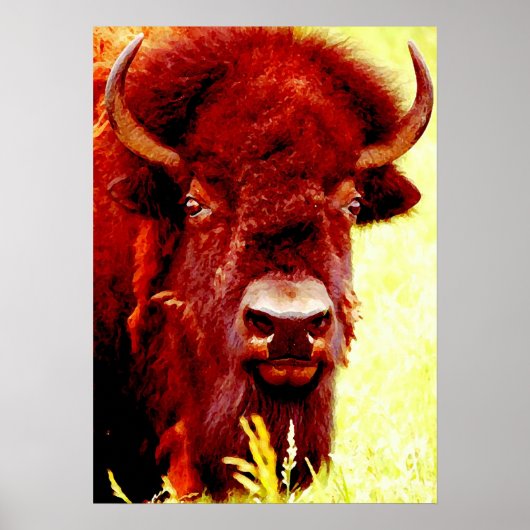 Bison Buffalo Hoofd Amerikaans Kunstwerk Poster (Voorkant)