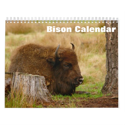 Bison Buffalo Kalender 2025 (Hoes)