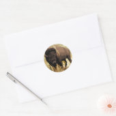 Bison/Buffalo Ronde Sticker (Envelop)