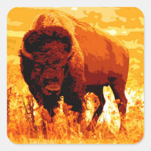 Bison / Buffalo Vierkante Sticker