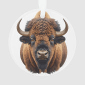 Bison / Buffle (dos)