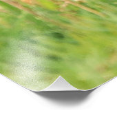 Bison Calf Fotoprint Foto Afdruk (Hoek)