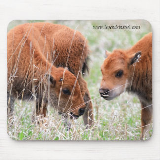 Bison Calves Muismat