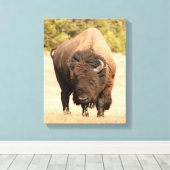 Bison Canvas Afdruk (Insitu (Houten vloer))