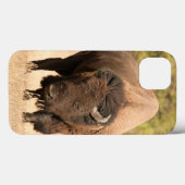 Bison Case-Mate iPhone Case (Achterkant (horizontaal))