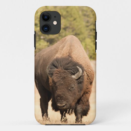 Bison Case-Mate iPhone Case (Achterkant)