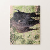 Bison Close Up Legpuzzel (Verticaal)