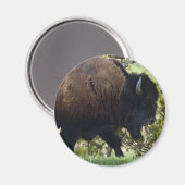 Bison Crossing Magneet (Voorkant / Achterkant)