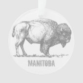 Bison de Manitoba (devant)