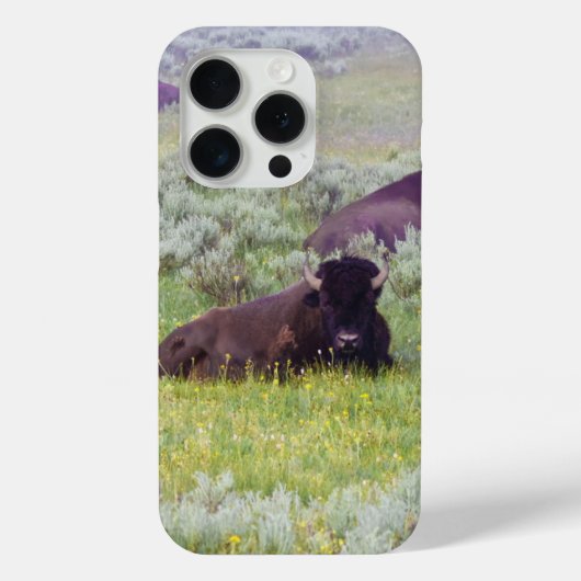 Bison Dromen Telefoon Portemonnee Case-Mate iPhone Case (Achterkant)