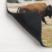 Bison en oude gelovigen muismat (Hoek)