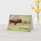 Bison et veau à Yellowstone Carte d'anniversaire (Fleur jaune)