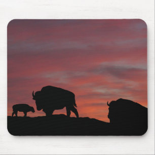 Bison familie muismat