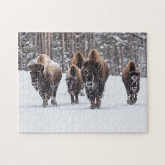 Bison Family in Snow Jigzaag Puzzle Legpuzzel