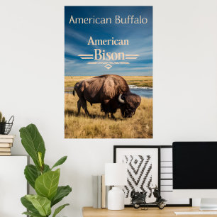 Bison Grazing aan de rivier Poster