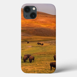 Bison Grazing on Hill op Hayden Valley iPhone 13 Hoesje