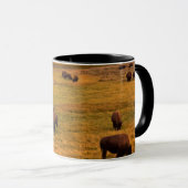 Bison Grazing on Hill op Hayden Valley Mok (Voorkant rechts)