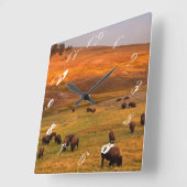 Bison Grazing on Hill op Hayden Valley Vierkante Klok (Hoek)