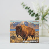 Bison in Antelope Island State Park Utah Briefkaart (Staand voorkant)