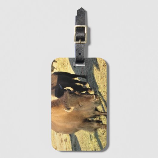 Bison in Colorado Bagagelabel (Voorkant (verticaal))