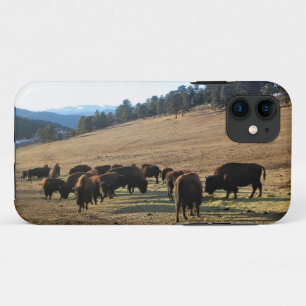 Bison in Colorado iPhone 11 Hoesje