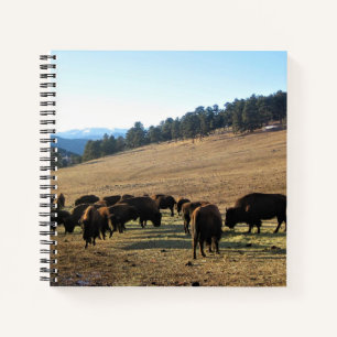 Bison in Colorado Notitieboek