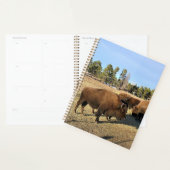 Bison in Colorado Planner (Display)