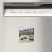 Bison in de Hayden-vallei van Yellowstone Magneet (Insitu (Vaatwasser))