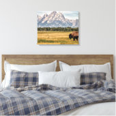 Bison in de Tetons Canvas Afdruk (Insitu (Slaapkamer))